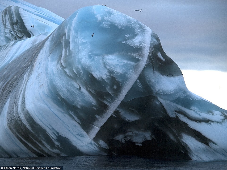Фотография: Как выглядят самые древние в мире айсберги №14 - BigPicture.ru