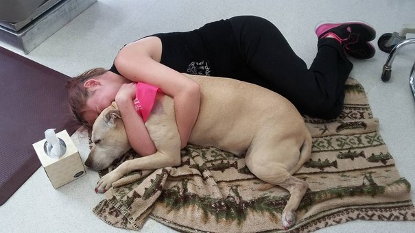 Фотография: Девушка устроила любимой тяжелобольной собаке прощальный день перед усыплением №20 - BigPicture.ru