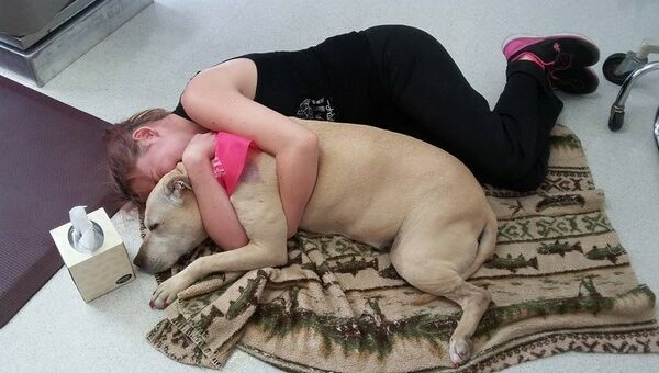 Девушка устроила любимой тяжелобольной собаке прощальный день перед усыплением
