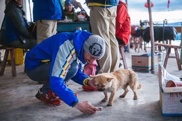 Фотография: Бездомная собака пробежала за спортсменом 40 км во время марафона и обрела нового хозяина №3 - BigPicture.ru