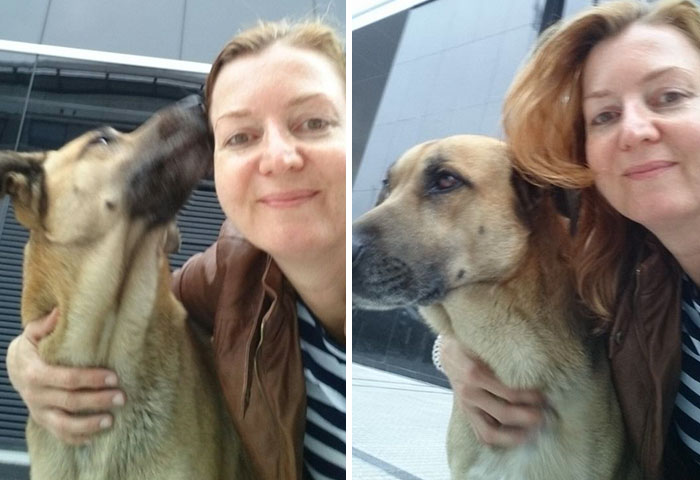 Фотография: Стюардесса приютила бродячего пса, который каждый раз встречал ее возле отеля в Буэнос-Айресе №5 - BigPicture.ru