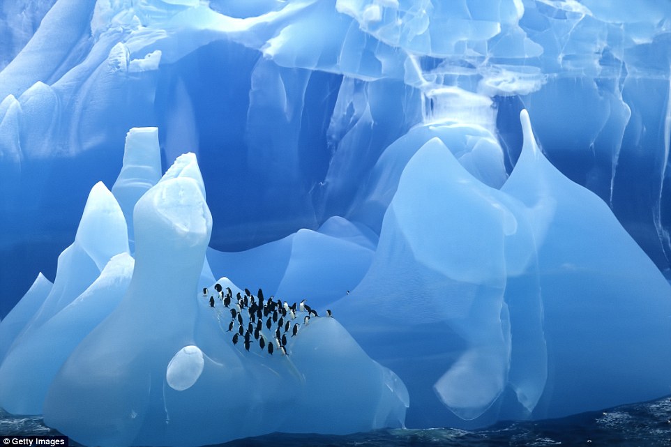 Фотография: Как выглядят самые древние в мире айсберги №5 - BigPicture.ru
