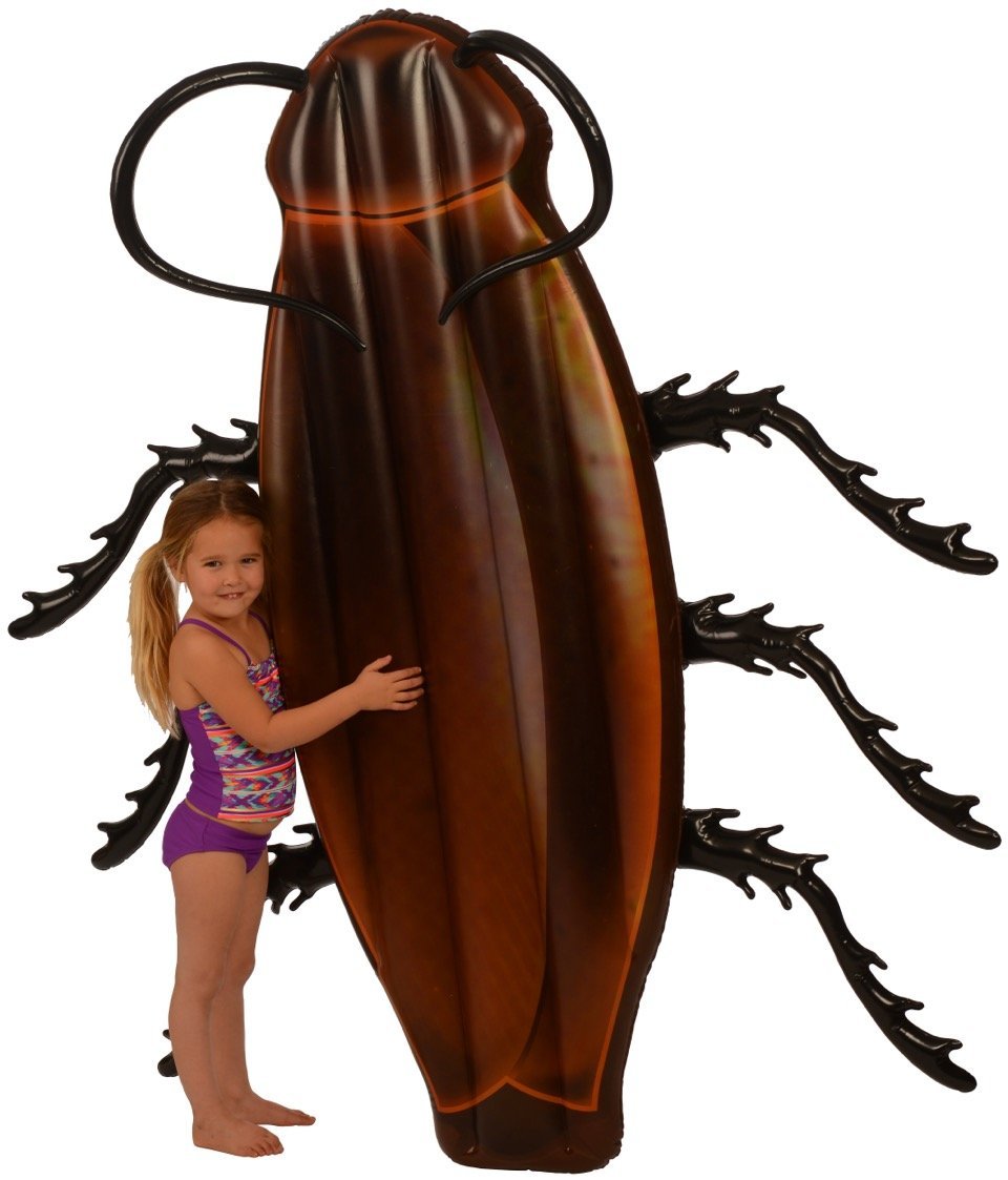 Фотография: Как насчет поплавать на огромном таракане? На Amazon продают матрас в форме жуткого насекомого №7 - BigPicture.ru