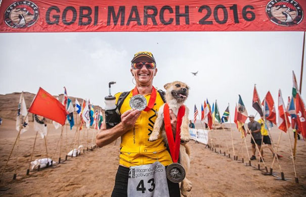 Фотография: Бездомная собака пробежала за спортсменом 40 км во время марафона и обрела нового хозяина №6 - BigPicture.ru