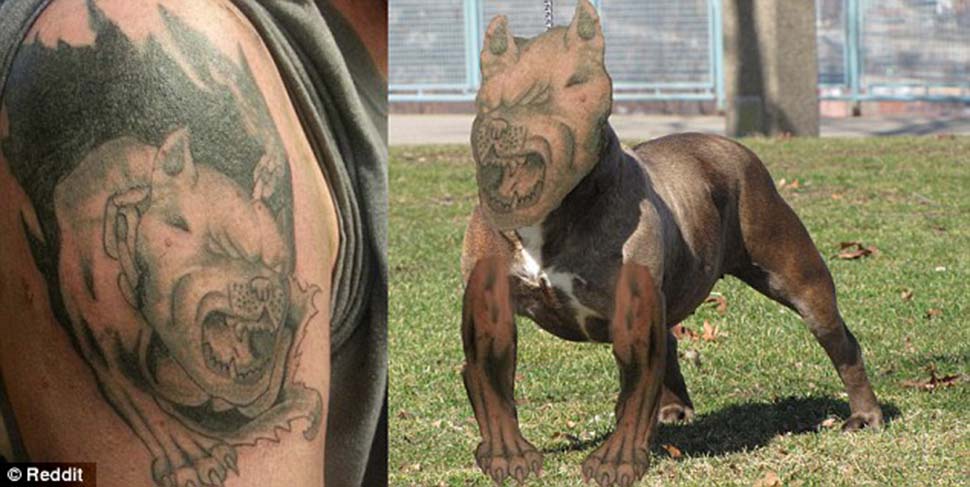 Фотография: Ужасно плохие татуировки на коже и в жизни №7 - BigPicture.ru