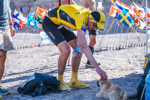 Фотография: Бездомная собака пробежала за спортсменом 40 км во время марафона и обрела нового хозяина №8 - BigPicture.ru
