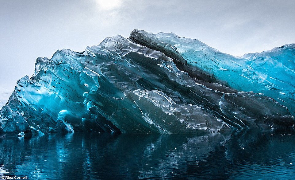 Фотография: Как выглядят самые древние в мире айсберги №10 - BigPicture.ru