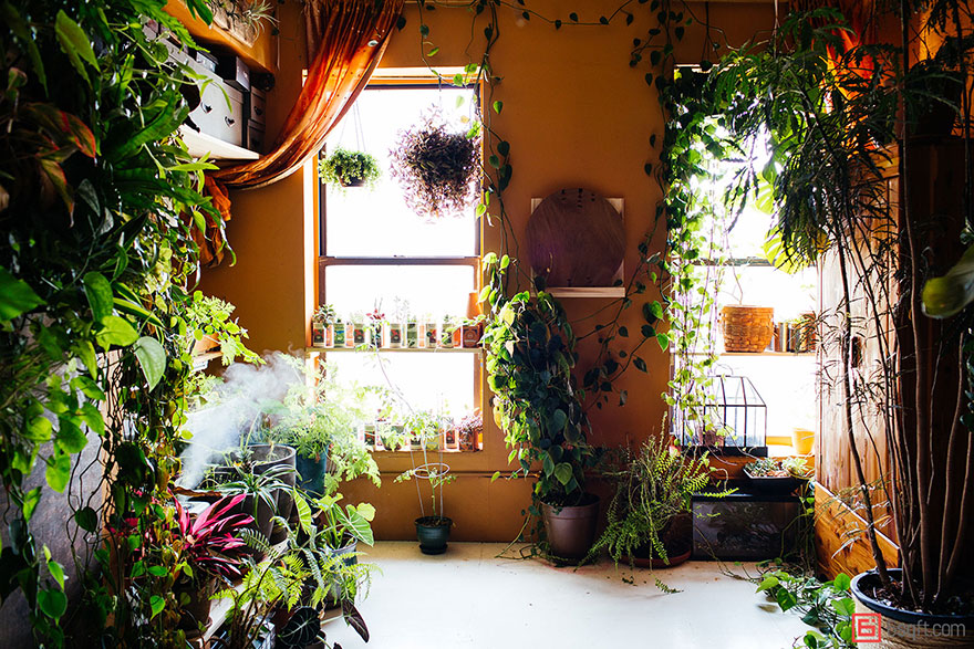 Фотография: В городских джунглях: модель из Нью-Йорка выращивает в квартире более 500 растений №7 - BigPicture.ru
