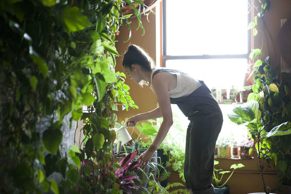 Фотография: В городских джунглях: модель из Нью-Йорка выращивает в квартире более 500 растений №1 - BigPicture.ru