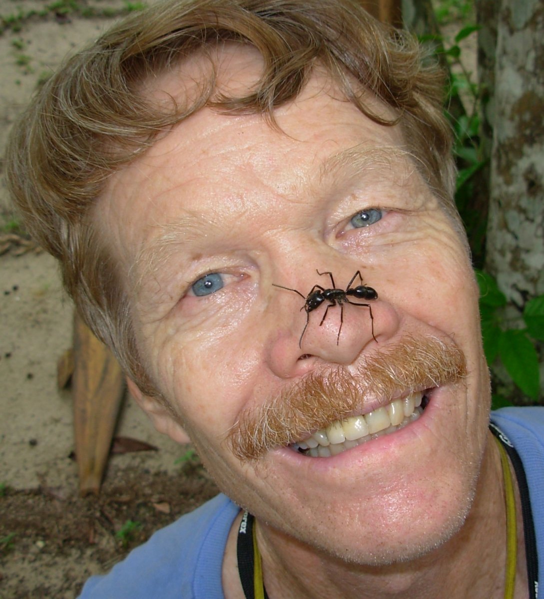 Фотография: Энтомолог испытал на себе самые болезненные укусы насекомых и составил шкалу боли №1 - BigPicture.ru