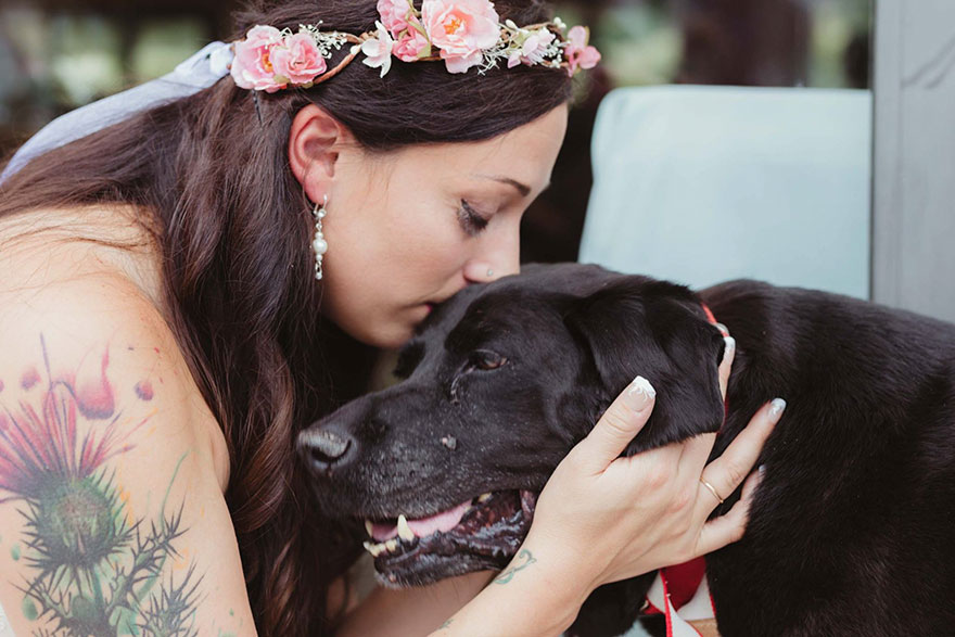 Фотография: Умирающий пес дожил до свадьбы любимой хозяйки №1 - BigPicture.ru