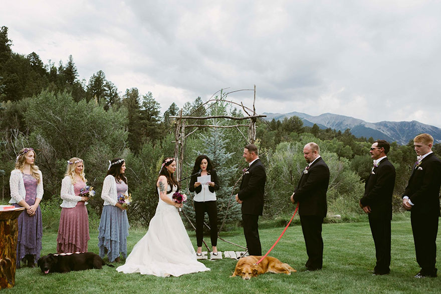 Фотография: Умирающий пес дожил до свадьбы любимой хозяйки №6 - BigPicture.ru