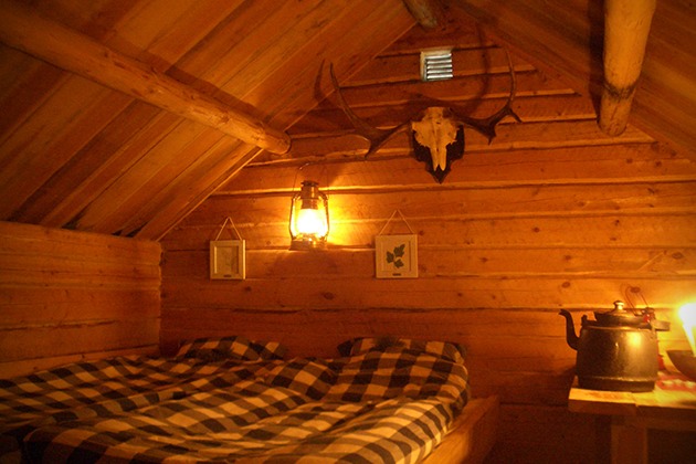 Фотография: Самый дикий отель в лесах Швеции №7 - BigPicture.ru