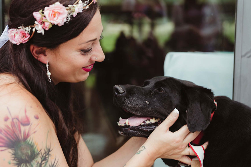 Фотография: Умирающий пес дожил до свадьбы любимой хозяйки №2 - BigPicture.ru