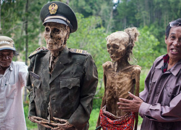 Фестиваль Манене: зачем индонезийцы раз в 3 года выкапывают мертвых родственников