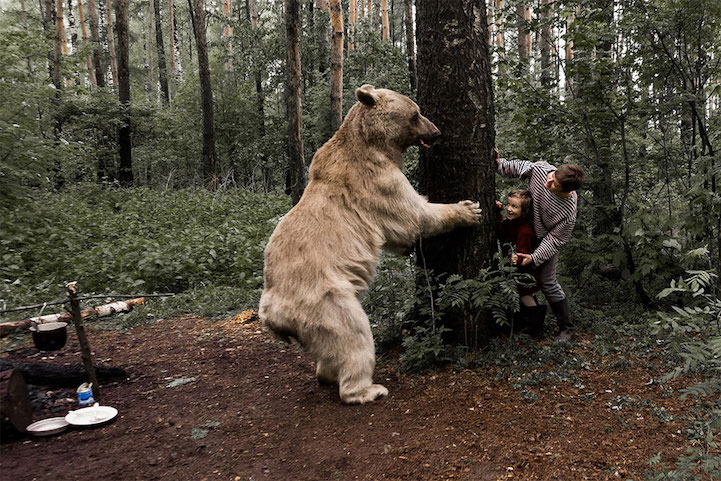 Фотография: Русская семья подружилась с медведем в лесу для антиохотничьей кампании №8 - BigPicture.ru