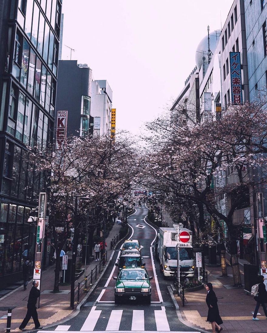 Фотография: 20 кадров уличной фотографии, которые открывают неизвестную сторону Японии №18 - BigPicture.ru