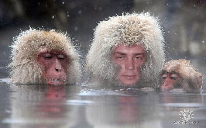 Фотография: Российский фотошоп — самый суровый фотошоп в мире №23 - BigPicture.ru