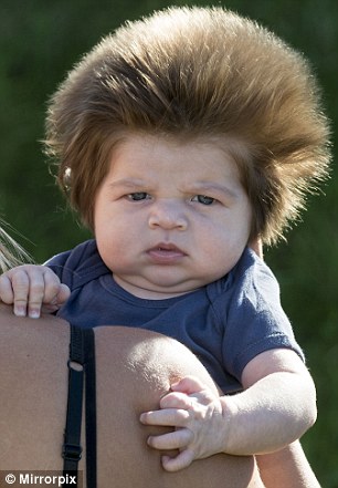 Фотография: Этот 2-месячный малыш уже может похвастаться невероятной шевелюрой №6 - BigPicture.ru
