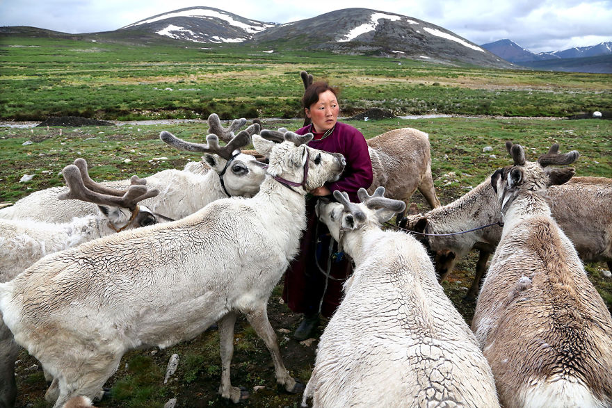 Кочевники цаатаны, Монголия