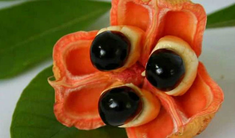 Фотография: 20 экзотических фруктов со всего света, о которых вы не слышали №1 - BigPicture.ru