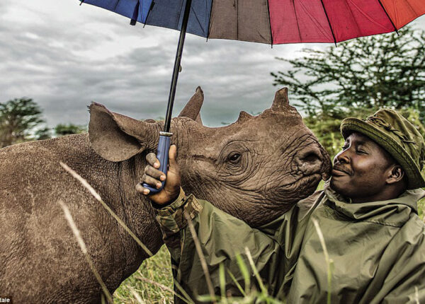 Самые популярные снимки из инстаграма National Geographic