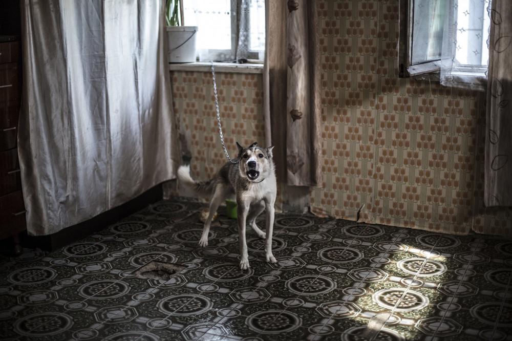 Фотография: И стены в помощь: как 150 семей живут в заброшенном военном госпитале в Тбилиси №7 - BigPicture.ru