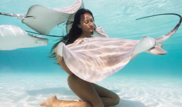 Таитянскую модель, любящую плавать обнаженной с морскими хищниками, называют «Королевой скатов»