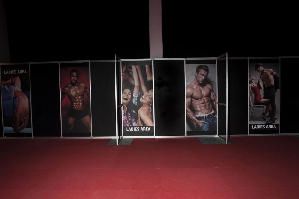 Фотография: И живые, и надувные: как прошел крупнейший в Германии секс-фестиваль №13 - BigPicture.ru