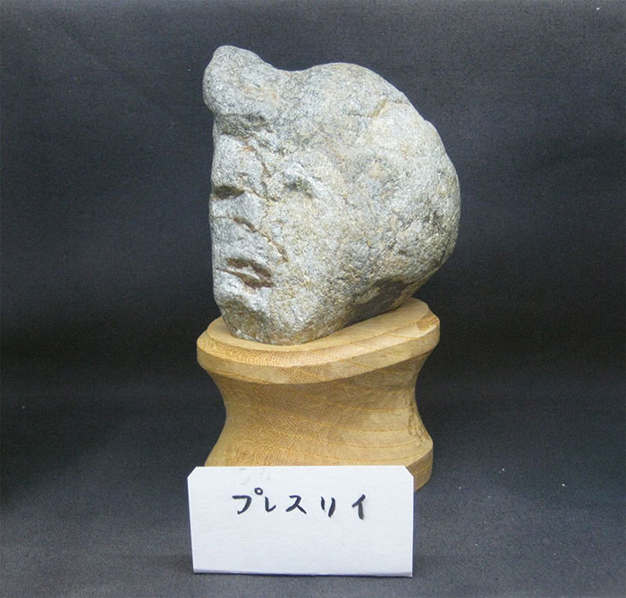 Фотография: Японский музей Тинсекикан коллекционирует камни, похожие на лица №12 - BigPicture.ru