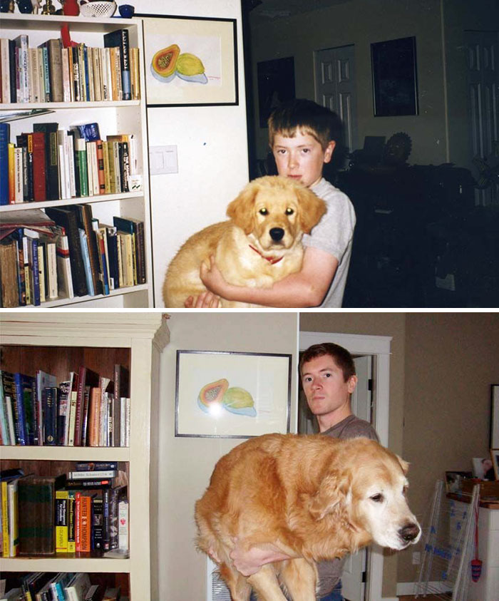 Фотография: Выросли вместе: собаки и их хозяева в начале дружбы и через много лет №13 - BigPicture.ru