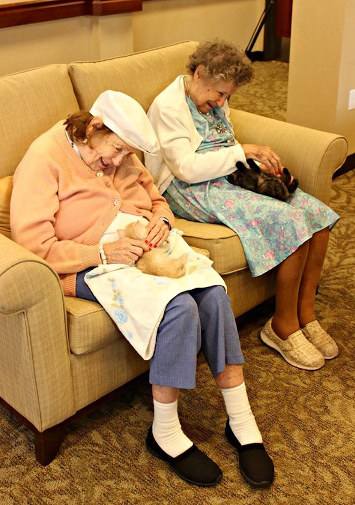 Фотография: Дом престарелых, где заботятся и о пожилых людях, и о брошенных животных №2 - BigPicture.ru