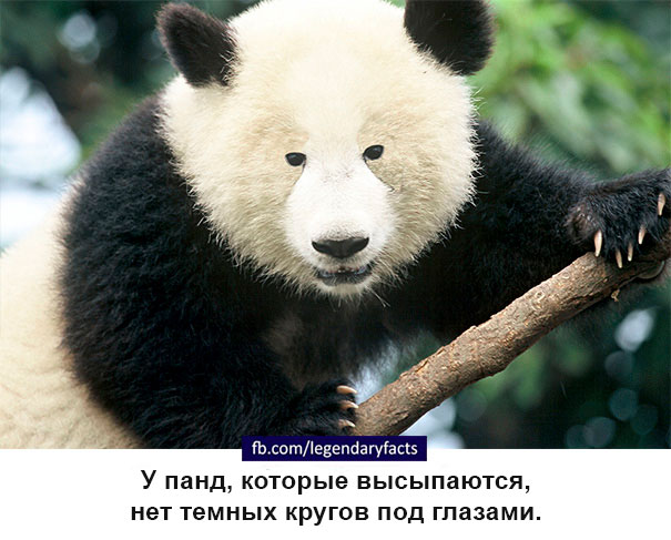 Фотография: Внезапные факты, о которых вы раньше не задумывались №13 - BigPicture.ru