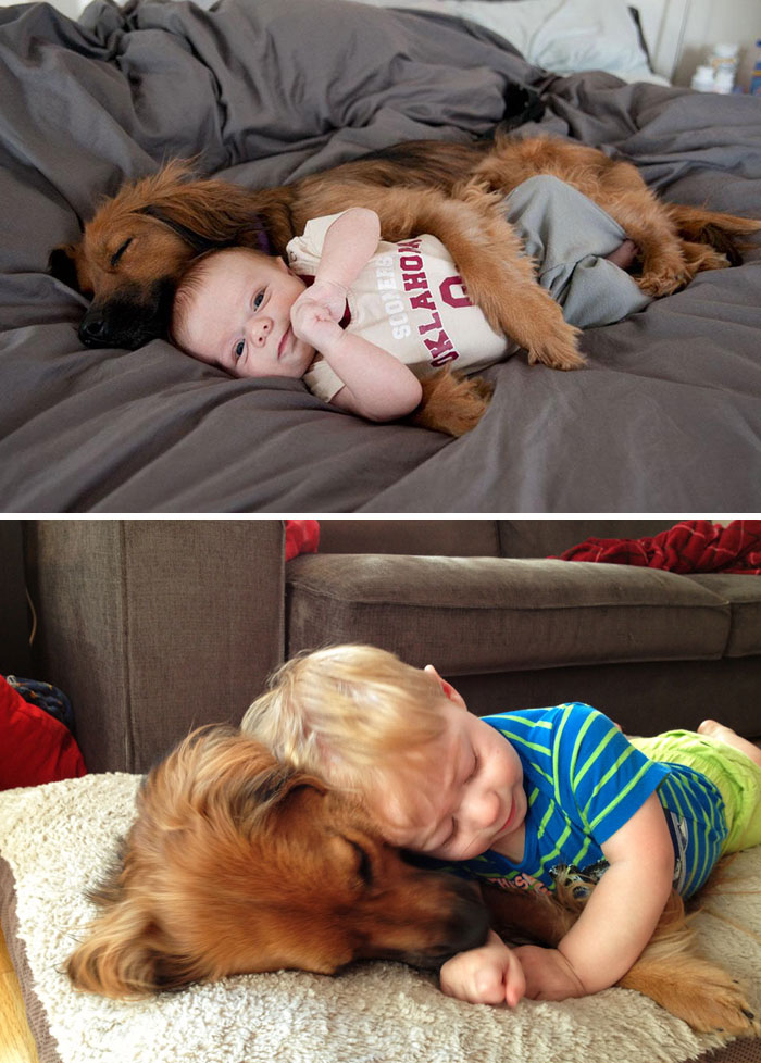 Фотография: Выросли вместе: собаки и их хозяева в начале дружбы и через много лет №14 - BigPicture.ru