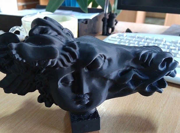 Фотография: 12 абсолютно абсурдных вещей, которые можно распечатать на 3D-принтере №2 - BigPicture.ru