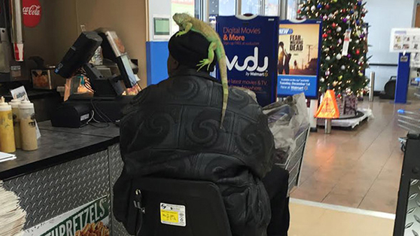Фотография: Эти люди просто пришли за покупками в американский супермаркет Walmart №14 - BigPicture.ru