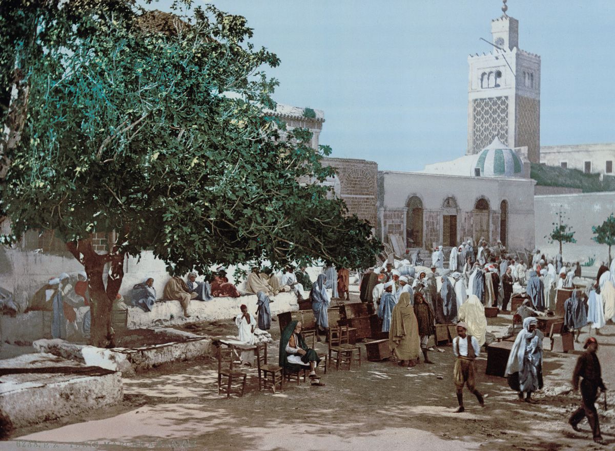 Фотография: Редкие цветные кадры из Туниса рубежа 19-20 веков №22 - BigPicture.ru