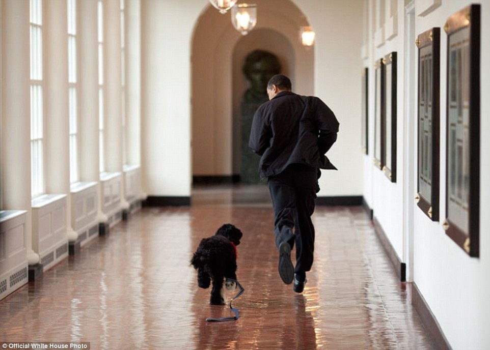Фотография: 55 лучших фотографий президента США от личного фотографа Барака Обамы №3 - BigPicture.ru