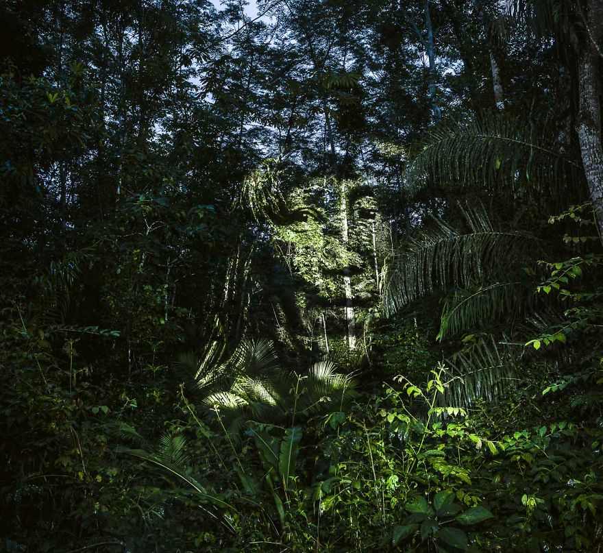 Фотография: Французский художник рисует светом в амазонских джунглях №6 - BigPicture.ru