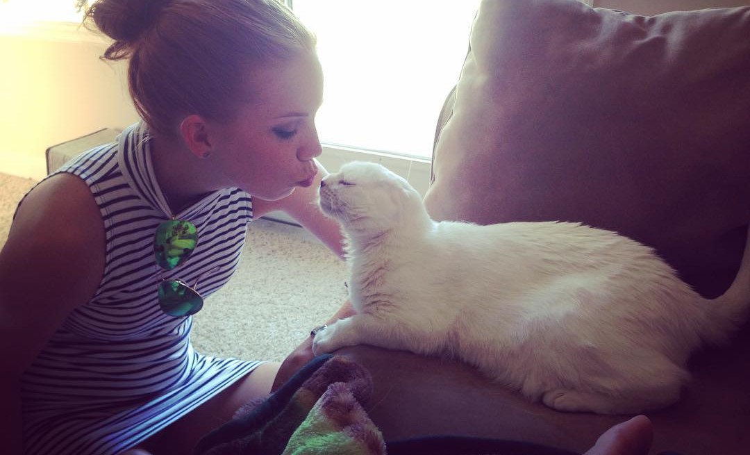 Фотография: Глухой безухий кот помогает новой хозяйке справляться с тревожным расстройством №1 - BigPicture.ru