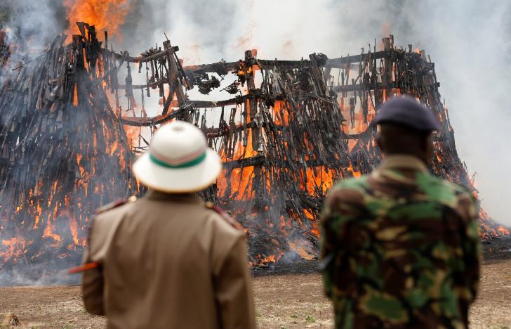 Фотография: Прощай, оружие! В Кении сожгли 5 тысяч нелегальных стволов №8 - BigPicture.ru