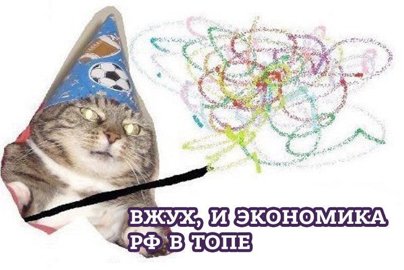 Фотография: Вжух, и вы смотрите подборку картинок про кота-волшебника №5 - BigPicture.ru