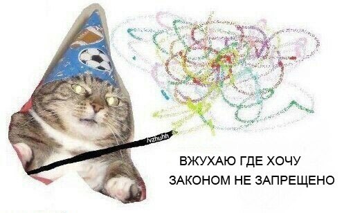 Фотография: Вжух, и вы смотрите подборку картинок про кота-волшебника №12 - BigPicture.ru