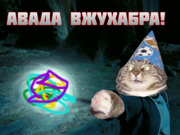 Фотография: Вжух, и вы смотрите подборку картинок про кота-волшебника №16 - BigPicture.ru