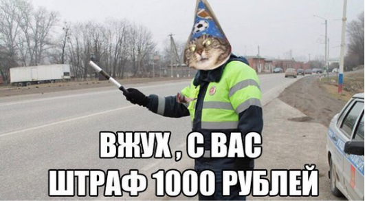 Фотография: Вжух, и вы смотрите подборку картинок про кота-волшебника №9 - BigPicture.ru