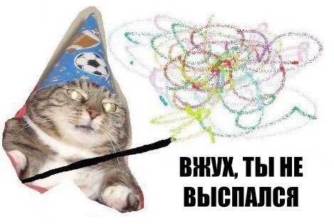 Фотография: Вжух, и вы смотрите подборку картинок про кота-волшебника №6 - BigPicture.ru