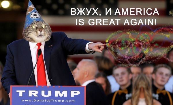 Фотография: Вжух, и вы смотрите подборку картинок про кота-волшебника №15 - BigPicture.ru