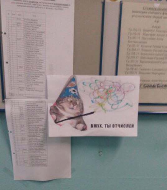 Фотография: Вжух, и вы смотрите подборку картинок про кота-волшебника №8 - BigPicture.ru