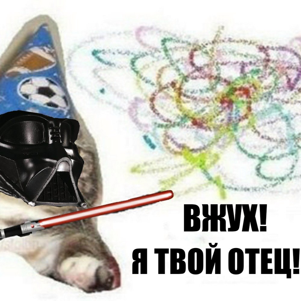 Фотография: Вжух, и вы смотрите подборку картинок про кота-волшебника №14 - BigPicture.ru