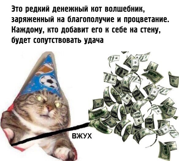 Фотография: Вжух, и вы смотрите подборку картинок про кота-волшебника №13 - BigPicture.ru